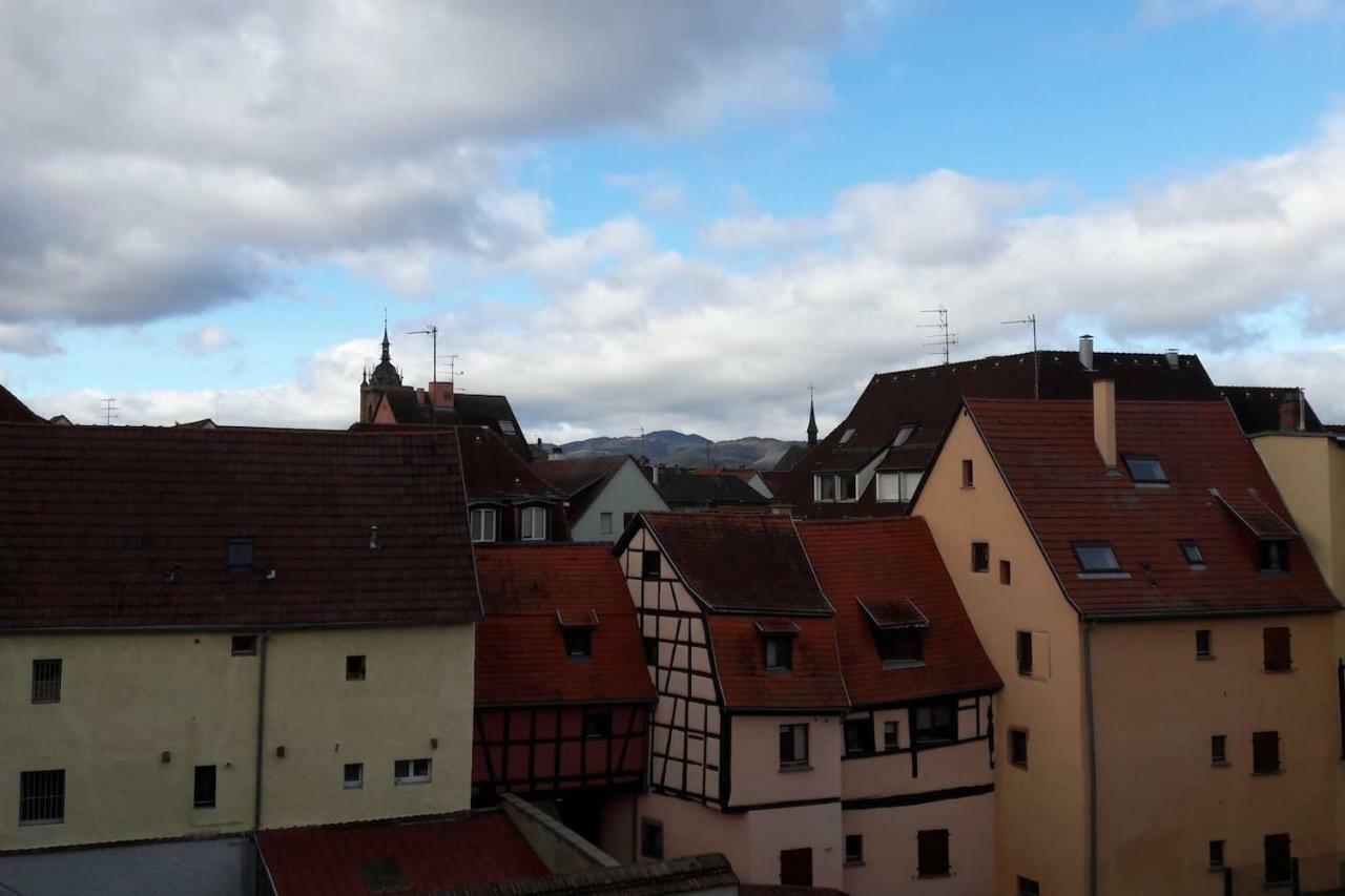 Gite Hopla 2 Chambres Colmar Exterior foto